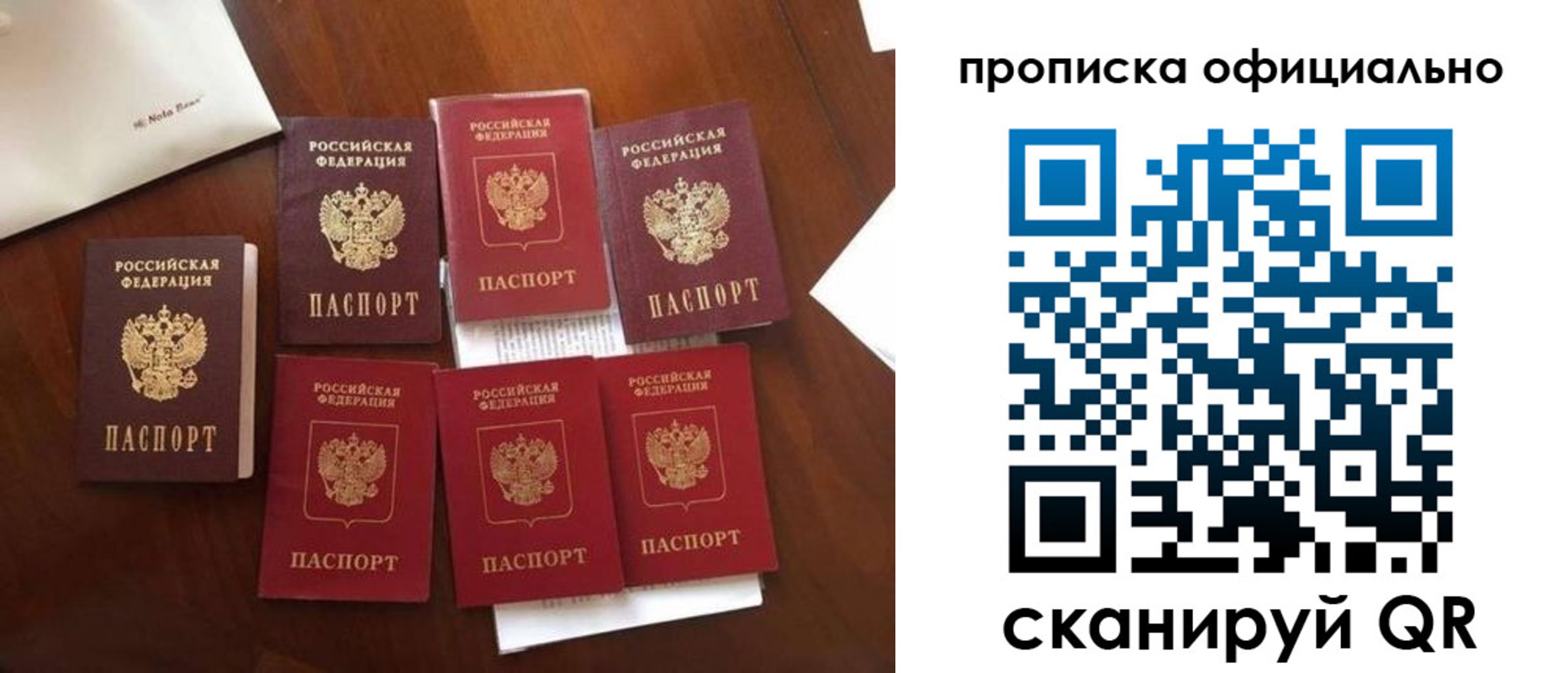 прописка законно в Дрезне